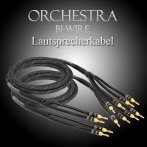 editionorchestrabiwirecols5.jpg